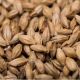 Malt Red X, Hel 25kg,  BestMaltz